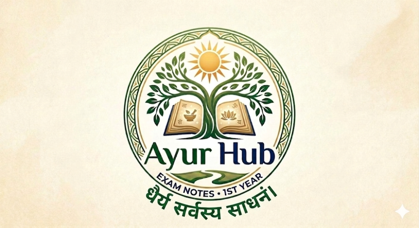 Ayur Hub 